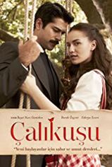 Çalıkuşu son bölüm izle