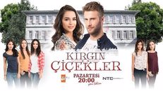 Kırgın Çiçekler 26.Bölüm izle