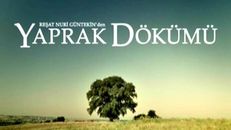 Yaprak Dökümü 43.Bölüm izle