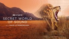 Secret World of Sound with David Attenborough 1.Sezon 2.Bölüm izle